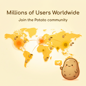 POTATO品牌 - Potato积分本地化：完整指南与深度分析